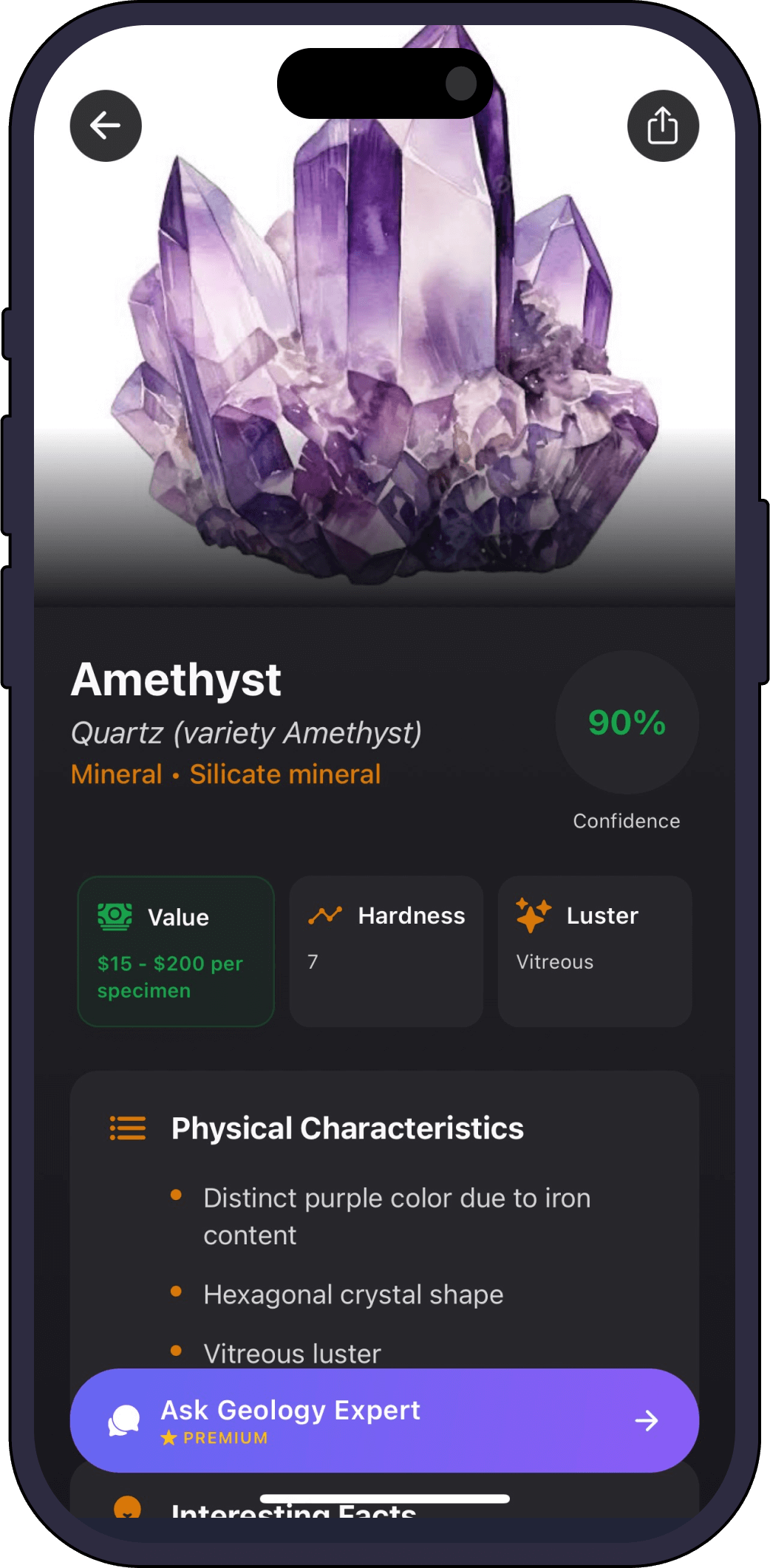 Instant rock identification with a confidence score
